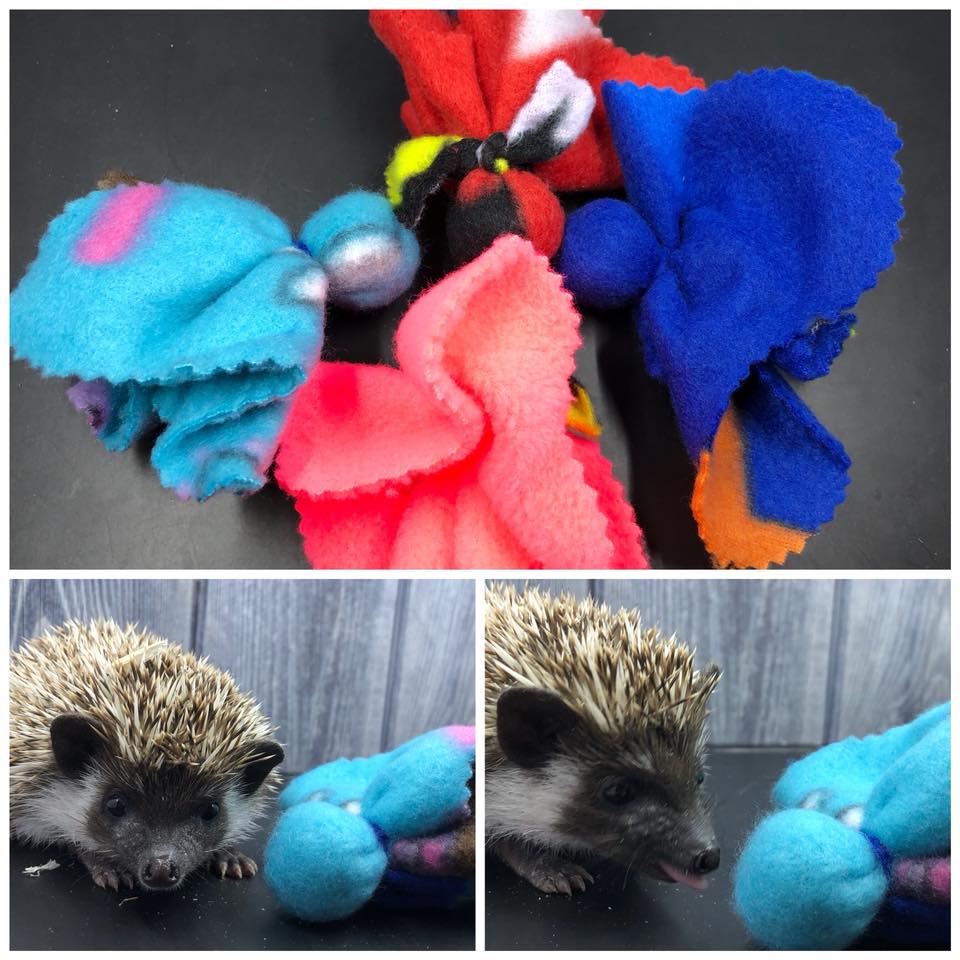 PomPom Toys – Hedgehog Ville
